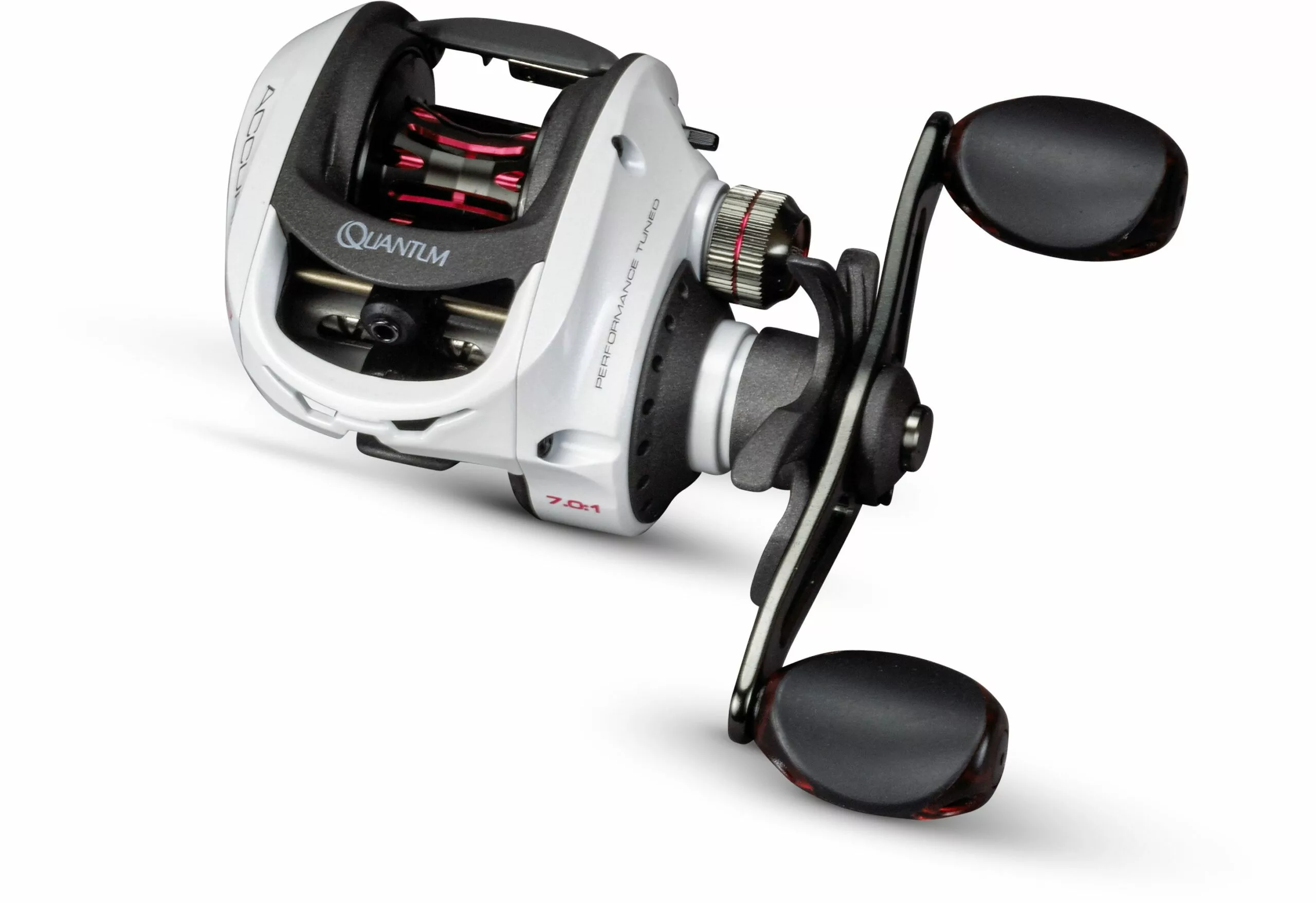 Quantum Accurist Baitcast AT101 HPT