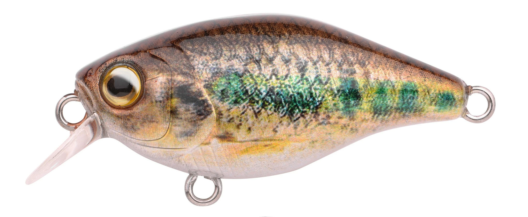 Spro Predator Ikiru Naturals Mini Crank 38F - Afbeelding 4