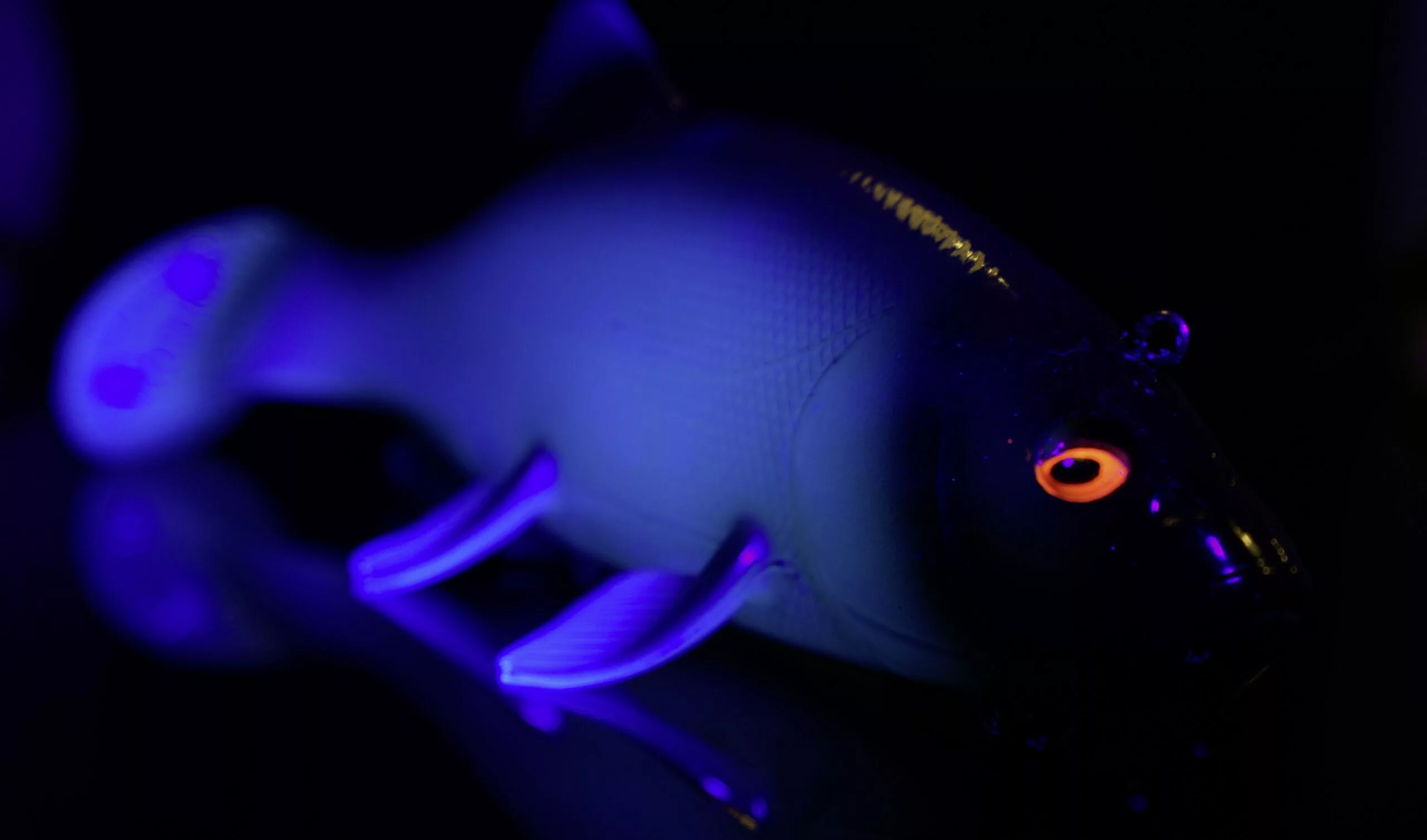 Quantum 270g 23cm Freak Of Nature SwimBait Tench Firetiger #1/0 Snel Zinkend - Afbeelding 5