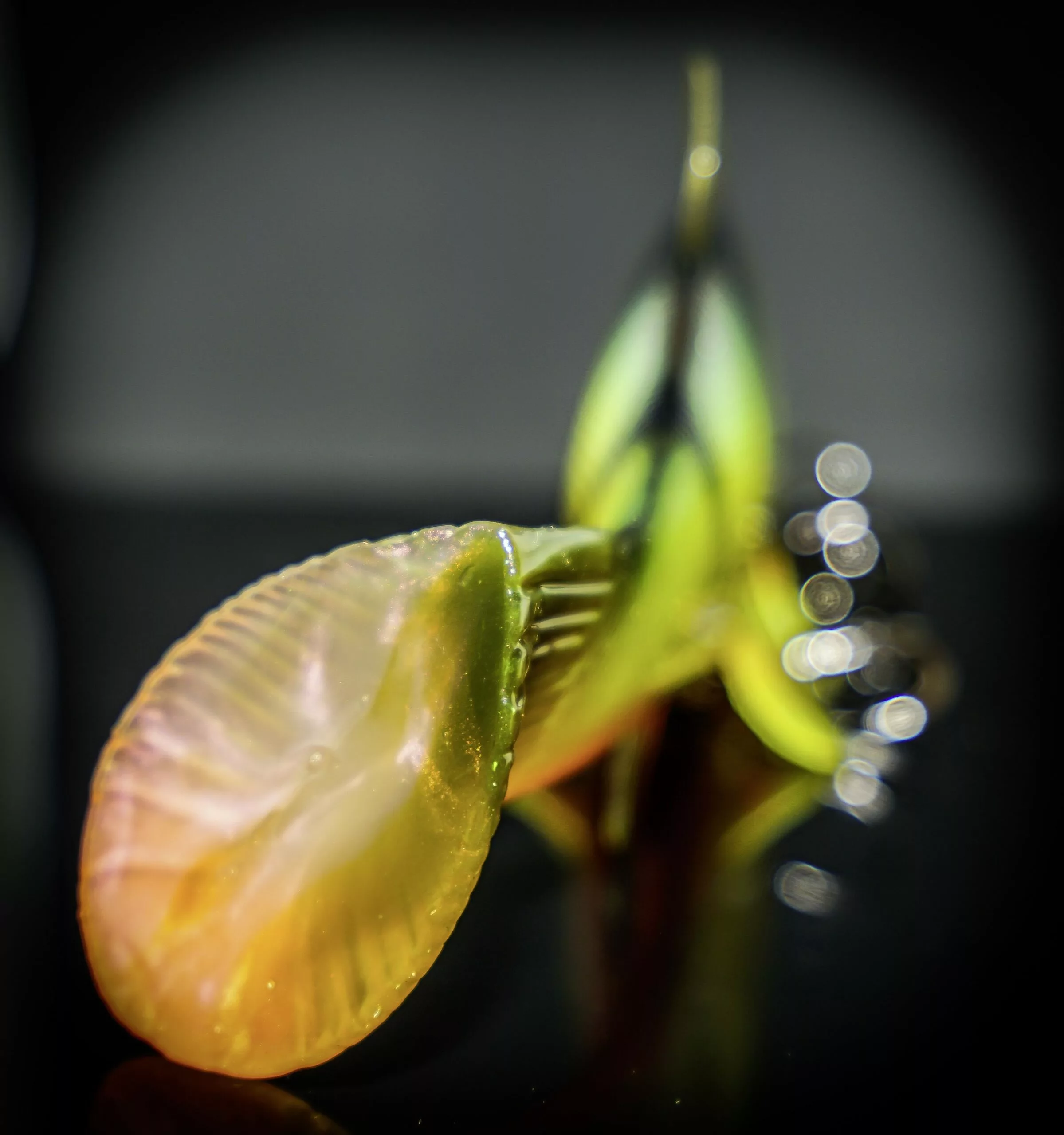 Quantum 270g 23cm Freak Of Nature SwimBait Tench Firetiger #1/0 Snel Zinkend - Afbeelding 10