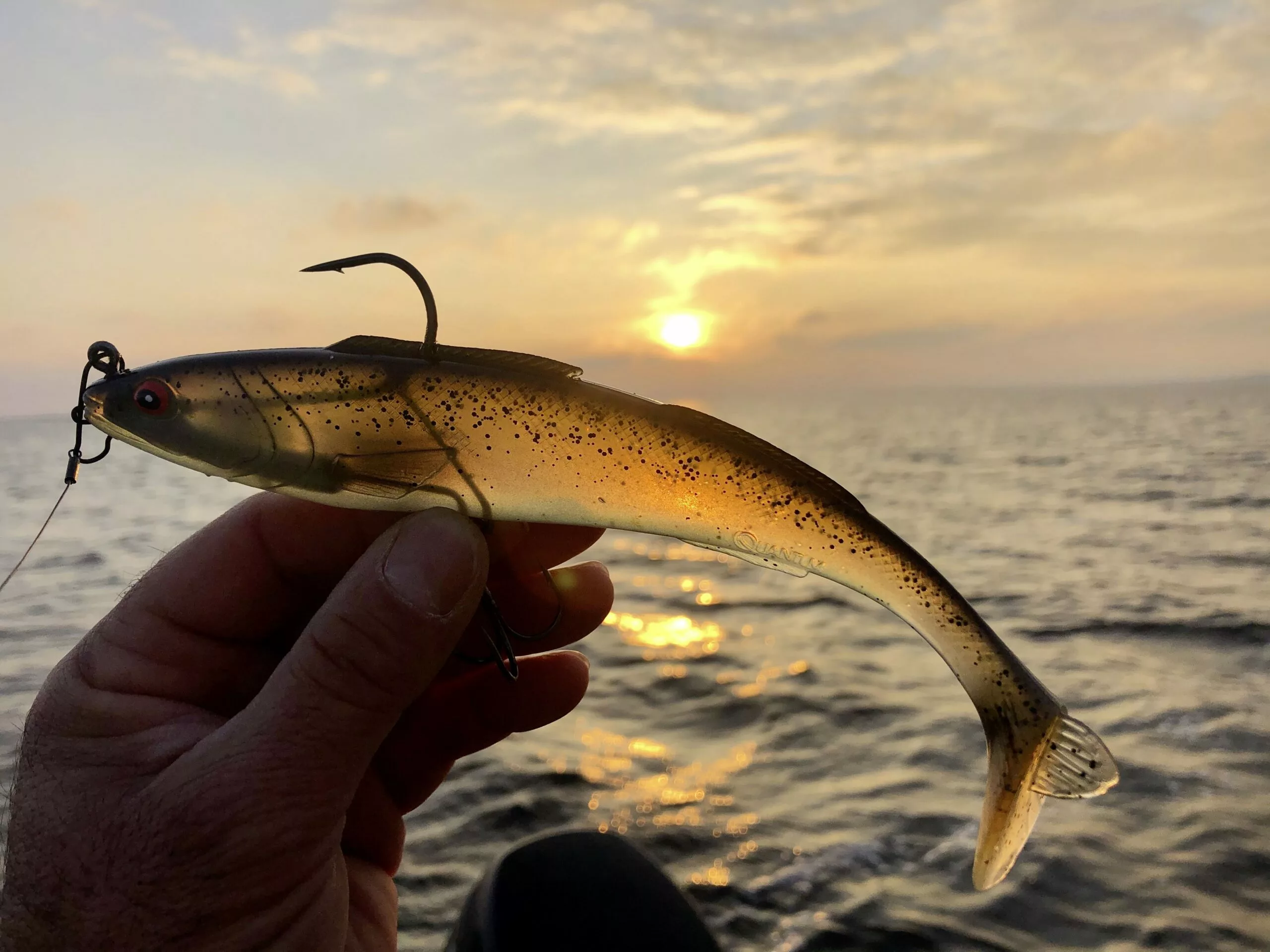 Quantum 60g 18cm Freak Of Nature SwimBait Zander Hot Zander #2 Langzaam Zinkend - Afbeelding 6