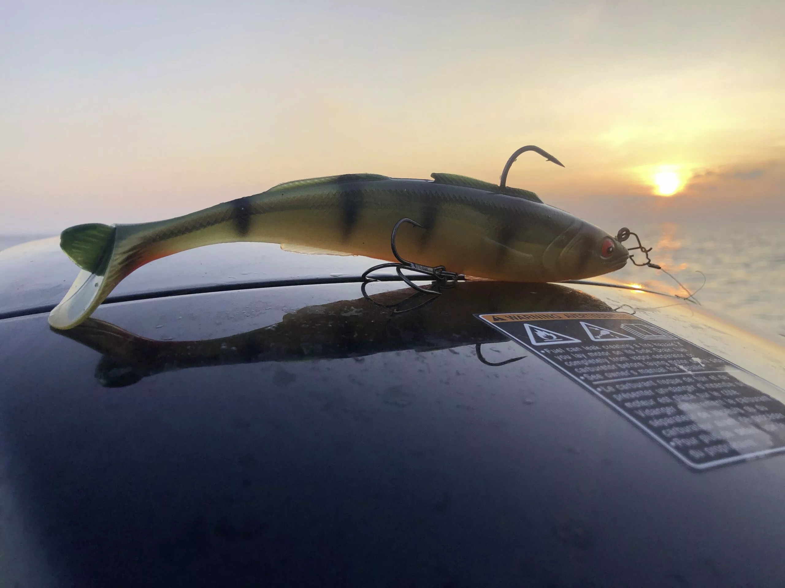 Quantum 60g 18cm Freak Of Nature SwimBait Zander Hot Zander #2 Langzaam Zinkend - Afbeelding 7