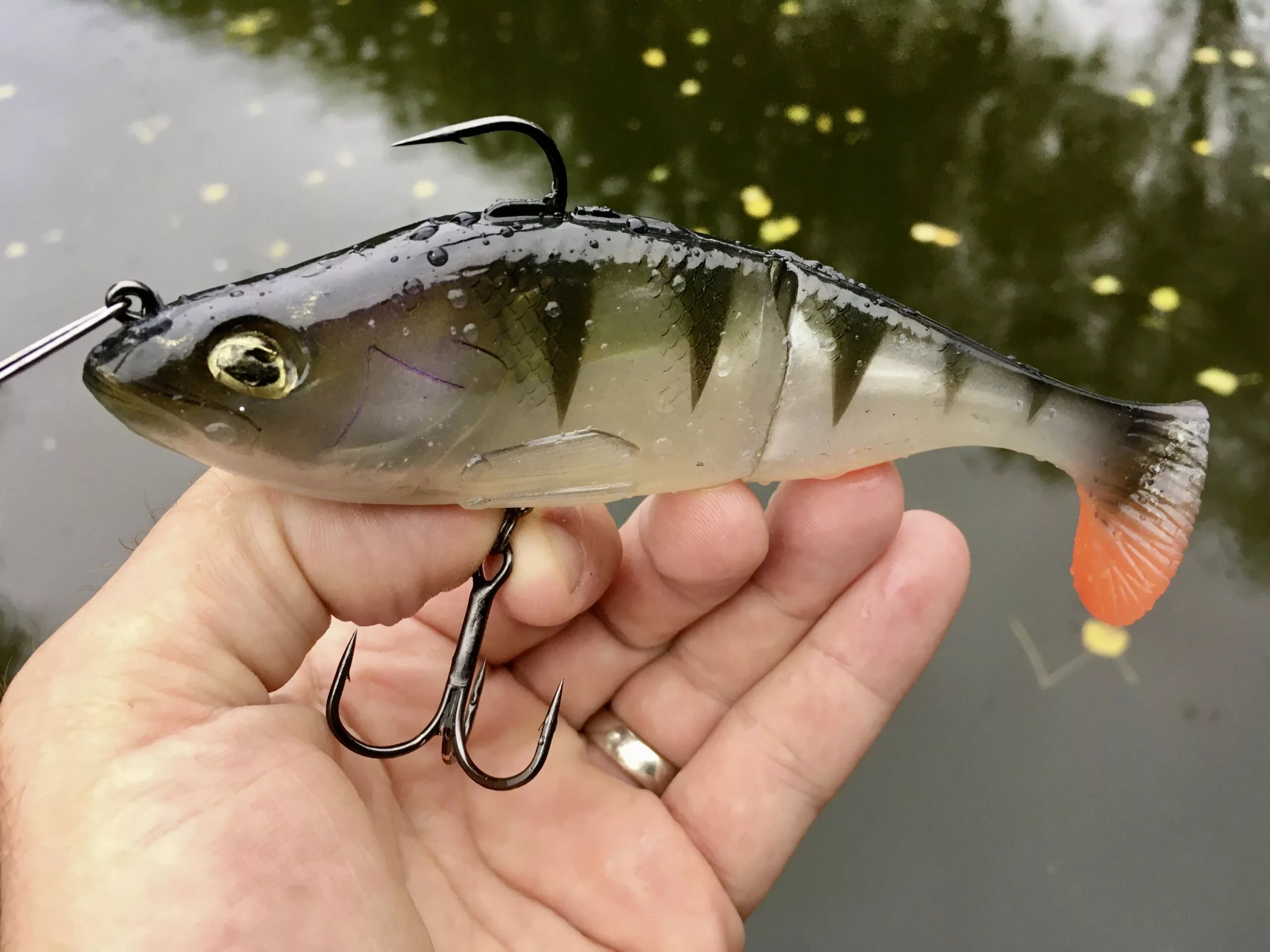 Quantum 60g 15cm Freak Of Nature SwimBait Perch Realist #2 Langzaam Zinkend - Afbeelding 4