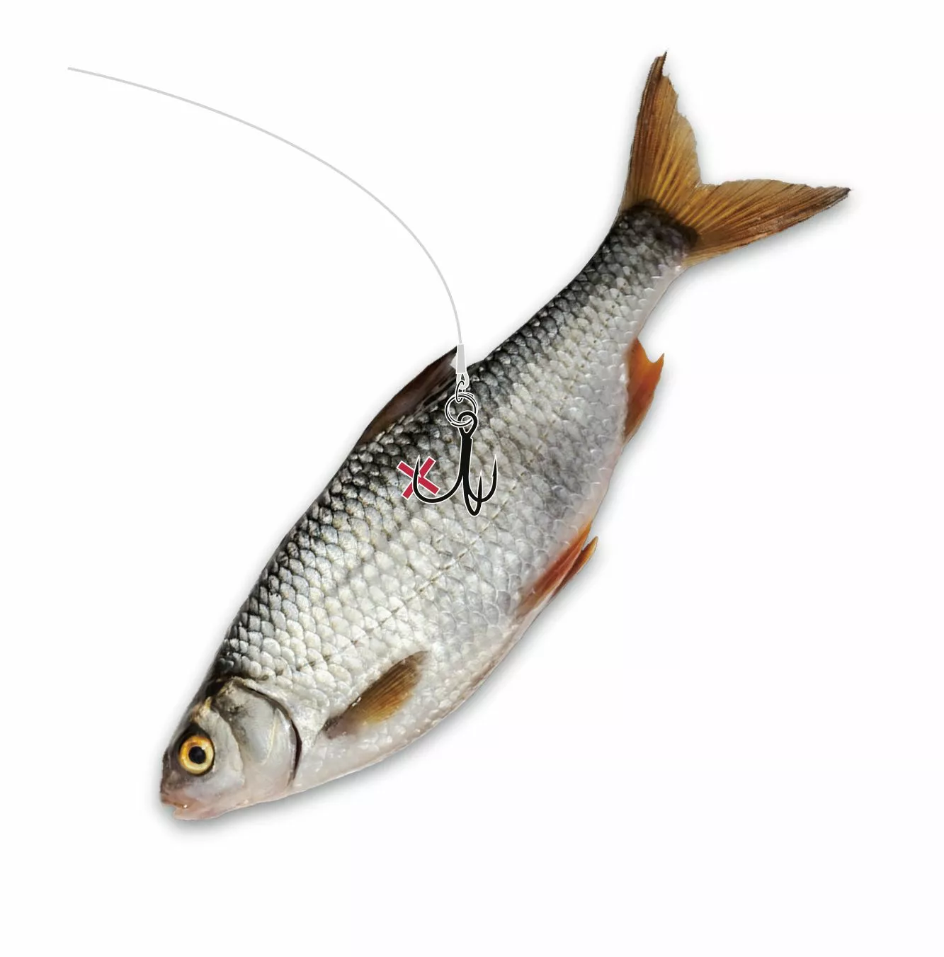 Zebco MR Pike Quantum #2 Mr. Pike Ghost Traces Float Rig Wit Haak: 1 Onderlijnl.: 50cm - Afbeelding 3