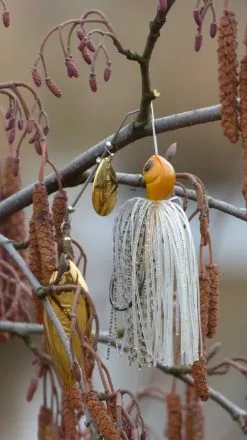 Jenzi Spinnerbait SL