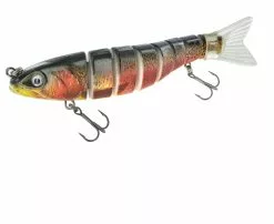 Jenzi Jeronimo Trout