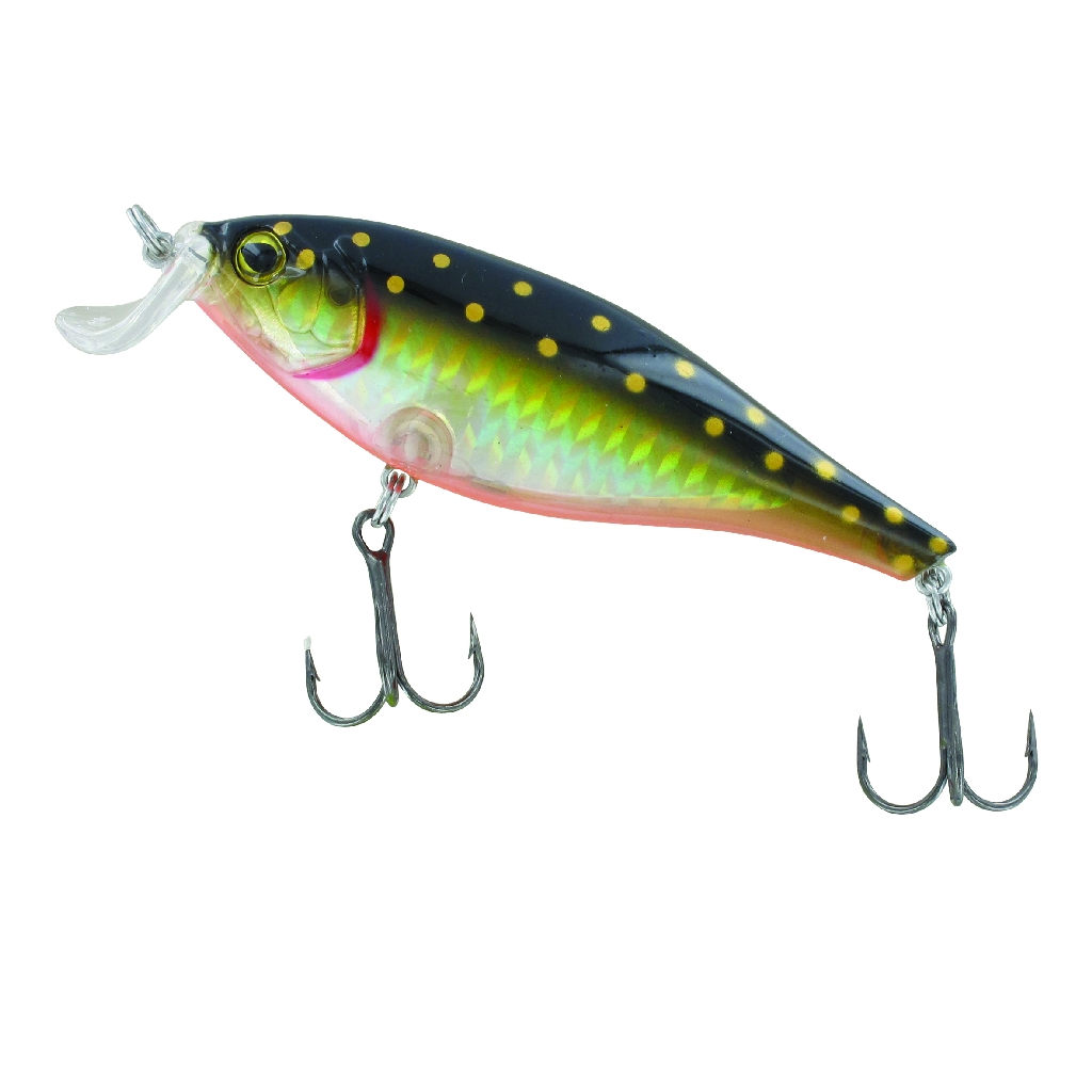 Jenzi Kendo 9 Sinking