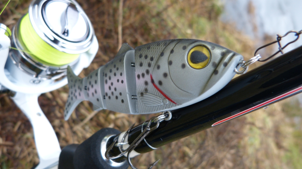 Jenzi Multi-Glider 12S - Afbeelding 7