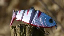 Jenzi Multi-Glider 12S