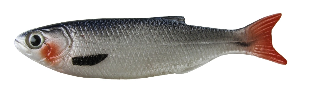 Jenzi Realistic "Flappy Fish"-Standup - Afbeelding 5