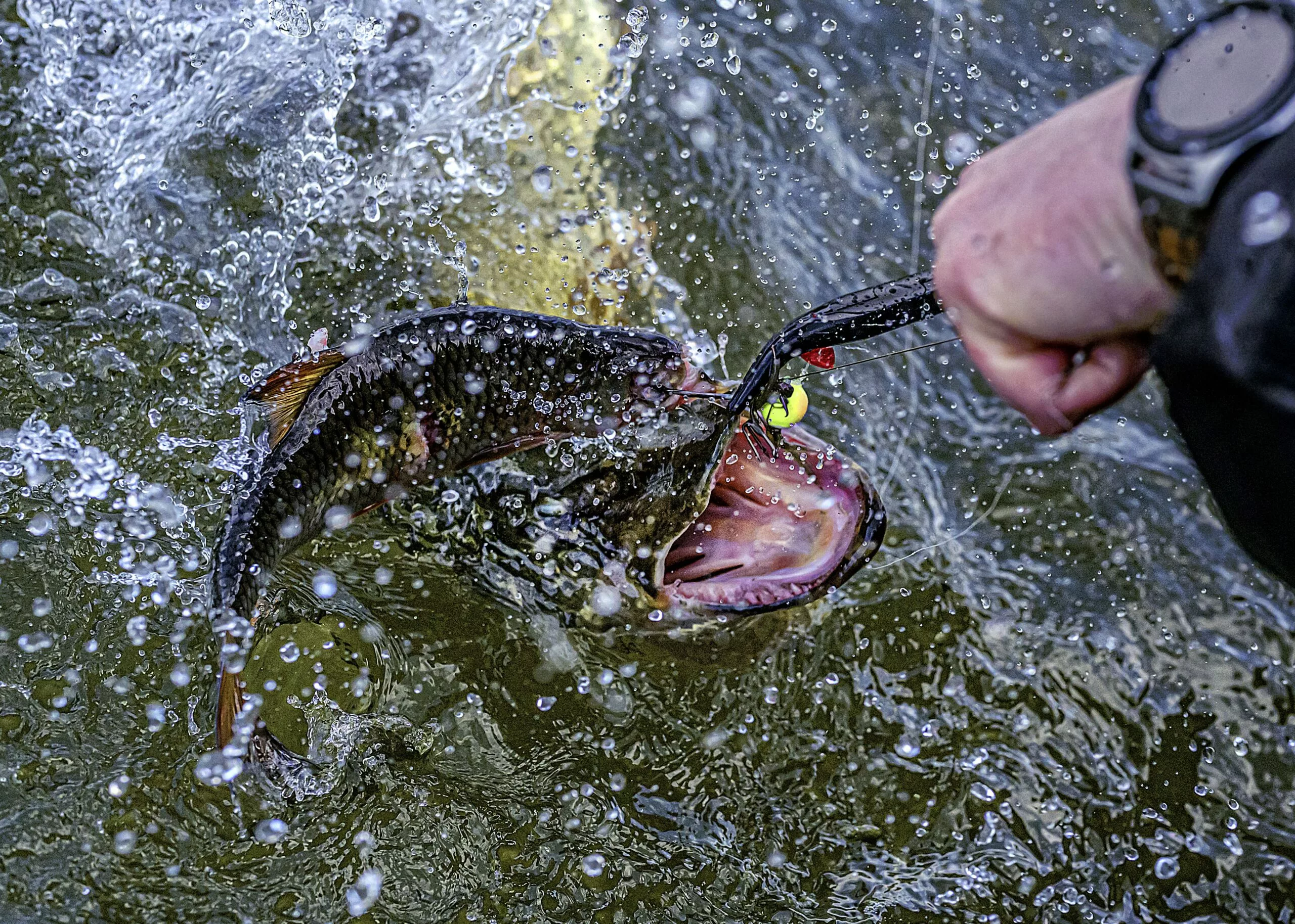 Zebco MR Pike Quantum Mr. Pike Power Pliers / Dual Joint L: 33cm Groen/zwart - Afbeelding 4