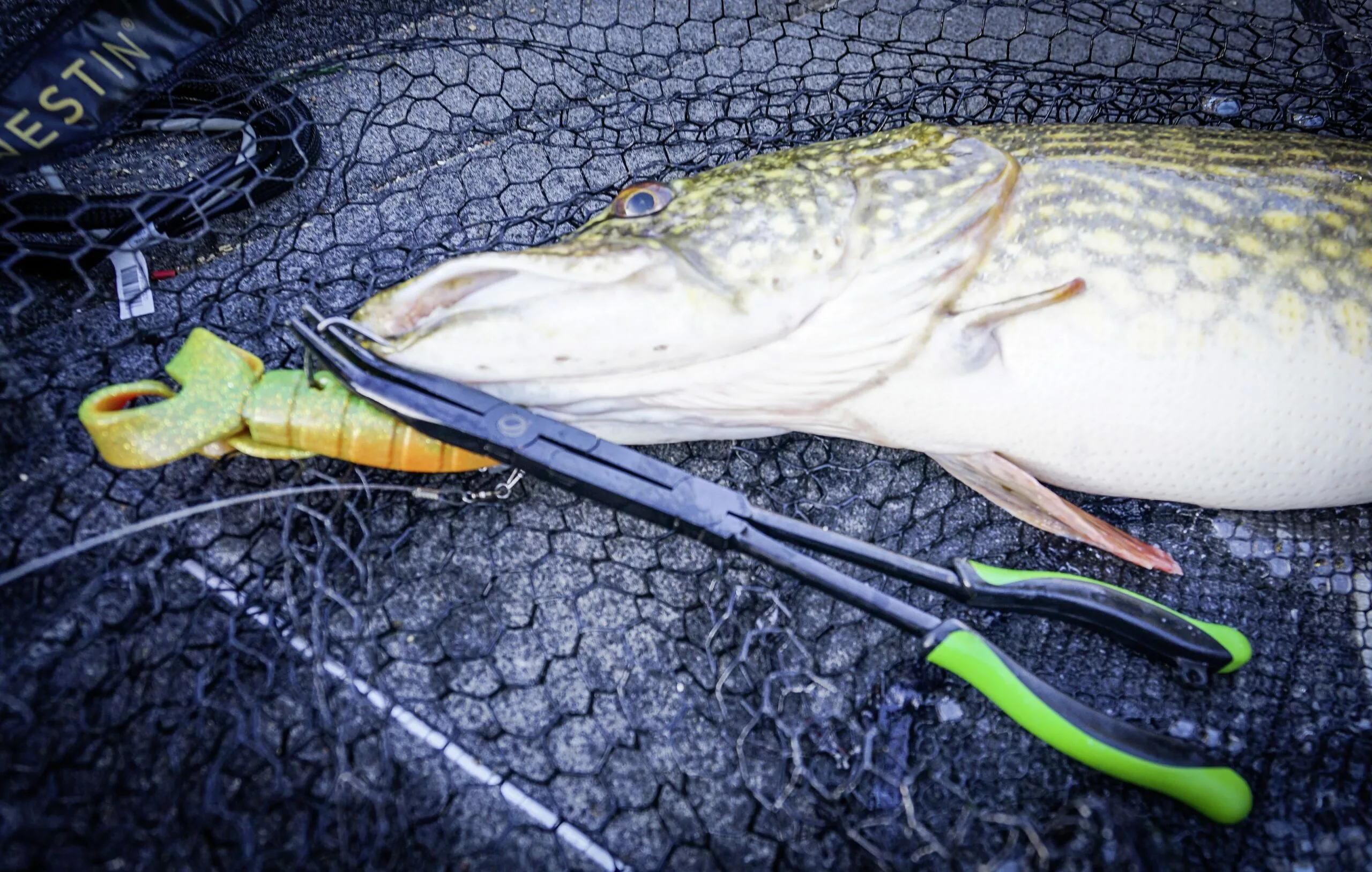 Zebco MR Pike Quantum Mr. Pike Power Pliers / Dual Joint L: 33cm Groen/zwart - Afbeelding 5